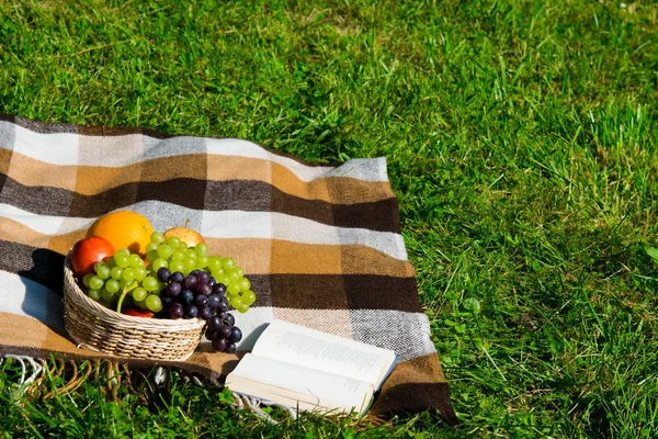 place in the park on the grass for relaxation, and reading a book with a basket of fruit