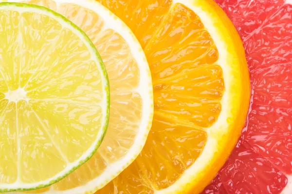 柑橘系の果物 明るい背景の輪切りの概念 — ストック写真
