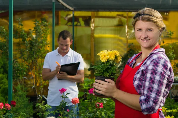 Man Makes Notes Observation Growth Yellow Flower Pot Which Kept — Stock Photo, Image