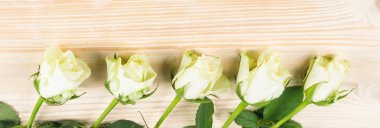 ahşap arka plan üzerinde beş güzel beyaz gül yalan