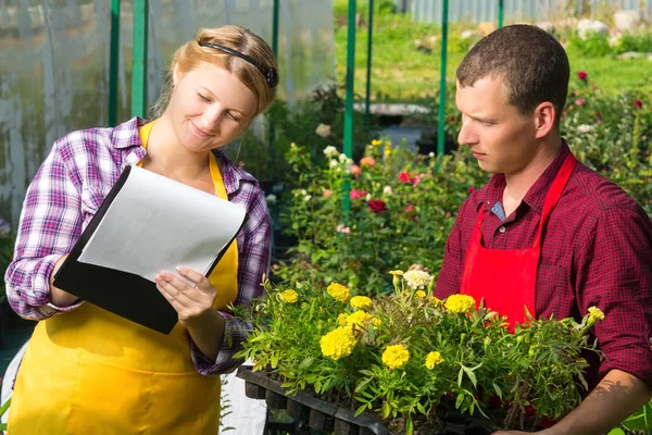 Trade Workers Keep Records Sold Plants — Stock Photo, Image