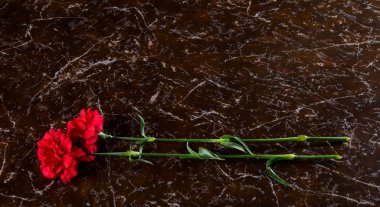 Bir anıt, bir yer için bir yazıt ile bir arka plan üzerinde iki karanfil