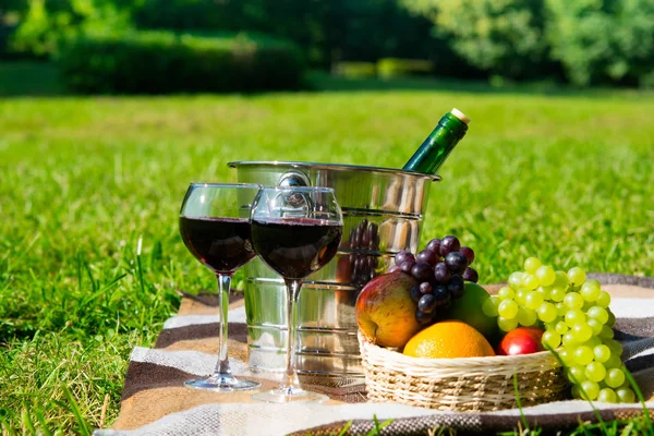 Picknick Gras Mit Gekühltem Wein Gläsern Und Einem Korb Mit — Stockfoto