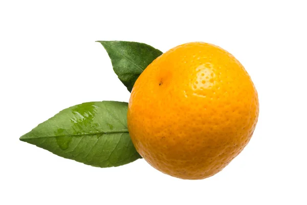 Mandarine Mit Grünem Zweig Isoliert Auf Weiß Draufsicht — Stockfoto