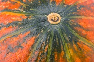 Yakın plan, yeşil turuncu kabak çekirdekleri, arka plan