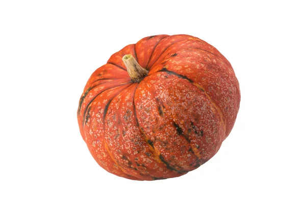 Orange Pumpkin Beautifully Lies White Isolated Background — 스톡 사진