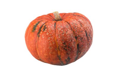 Olgun turuncu balkabağı beyaz arka planda izole edilmiş, kenar görünüm