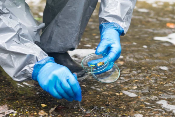 Egy Védőruhában Dolgozó Környezetvédelmi Laboratóriumi Szakember Mintát Vesz Talajból Folyó — Stock Fotó