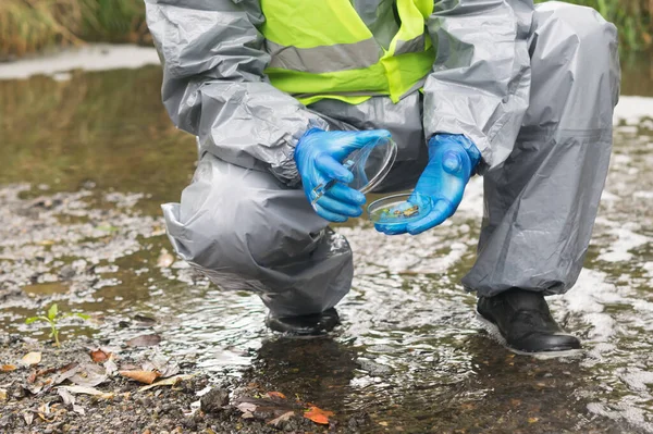 an environmental laboratory specialist in a protective suit lids a glass container with a soil sample for research