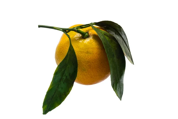 Mandarynka Pomarańczowa Zieloną Gałązką Odizolowaną Białym Tle — Zdjęcie stockowe