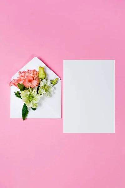 Kleurrijke Lentebloemen in envelop en wit blad op roze achtergrond. — Stockfoto