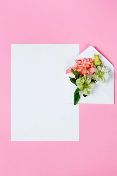 Барвисті весняні квіти в конверті і білий аркуш на рожевому фоні . — стокове фото