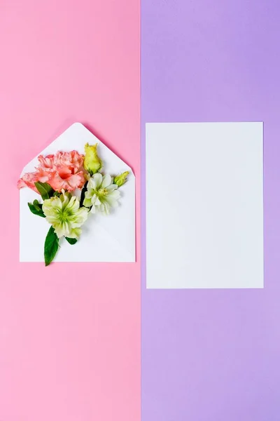 Πολύχρωμα ανοιξιάτικα λουλούδια στο φάκελο και λευκό φύλλο σε ροζ και μοβ φόντο. — Φωτογραφία Αρχείου