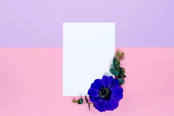 Zarf ve beyaz sayfa pembe ve mor arka plan üzerinde renkli bahar çiçekleri.