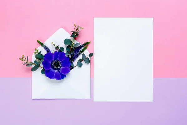 Барвисті весняні квіти в конверті та білому аркуші на рожевому та фіолетовому фоні . — стокове фото