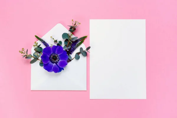 Μπλε λουλούδι στο φάκελο και λευκό φύλλο σε ροζ φόντο. — Φωτογραφία Αρχείου