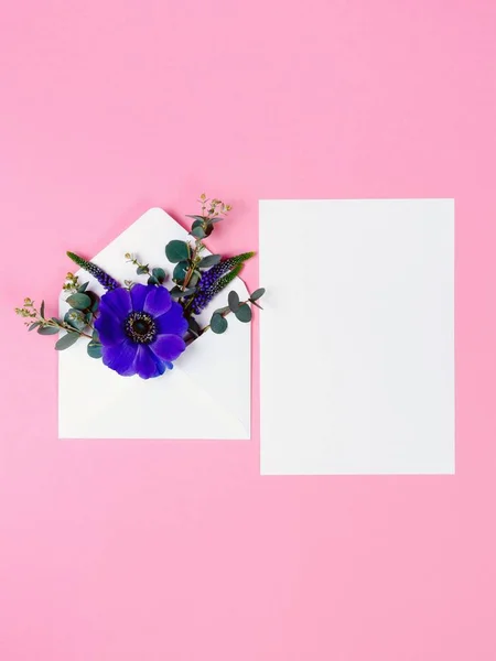 Flor azul en sobre y hoja blanca sobre fondo rosa . — Foto de Stock