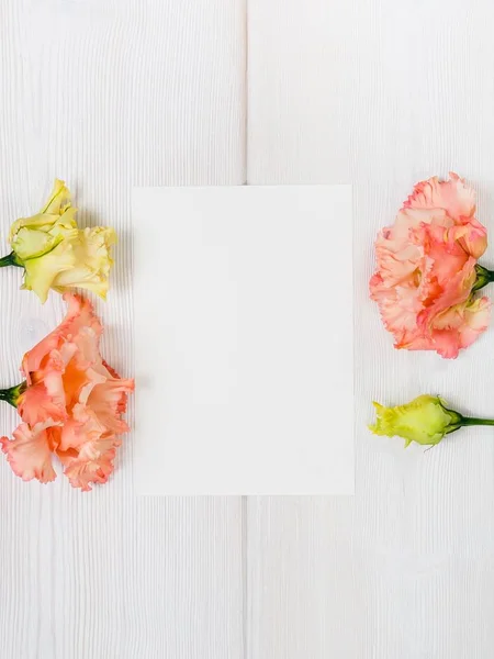 Рожеві квіти та білий аркуш на дерев'яному фоні . — стокове фото