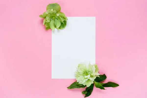 Beyaz çiçekler ve pembe bir arka plan üzerinde beyaz sayfa.