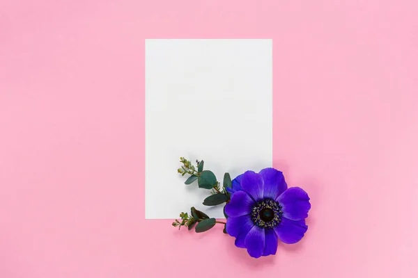 Μπλε λουλούδια και λευκό φύλλο σε ροζ φόντο. — Φωτογραφία Αρχείου