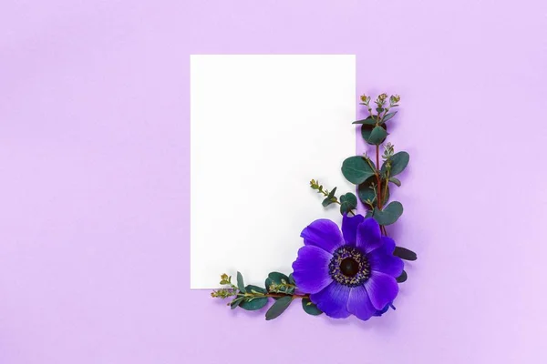 Blauwe bloemen en witte blad op violette achtergrond. — Stockfoto