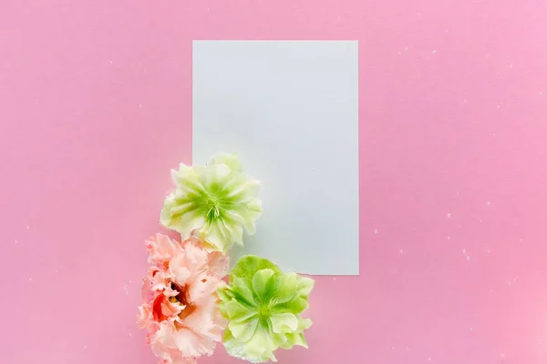 Roze bloemen en witte blad onder water op roze achtergrond. — Stockfoto