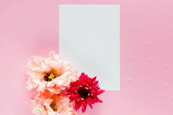 Pembe çiçekler ve pembe bir arka plan üzerinde su altında beyaz sayfa.
