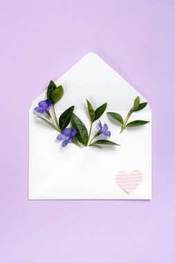 Kağıt kalp Menekşe arka plan üzerinde zarf içinde mavi yaz çiçek.