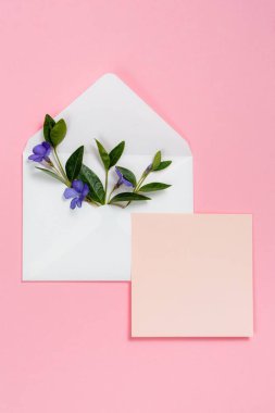 Zarf ve pembe sayfasında pembe bir arka plan üzerinde renkli yaz çiçek.