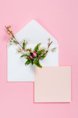 Zarf ve pembe sayfasında pembe bir arka plan üzerinde renkli yaz çiçek.