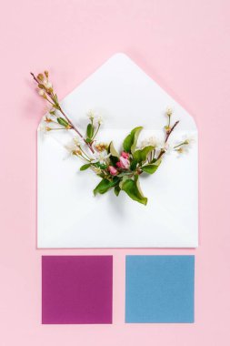 Renkli yaz çiçek zarf ve pembe bir arka plan üzerinde renkli resim.