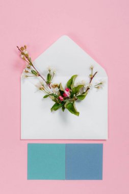 Zarf ve turkuaz çarşaflarla pembe bir arka plan üzerinde renkli yaz çiçek.