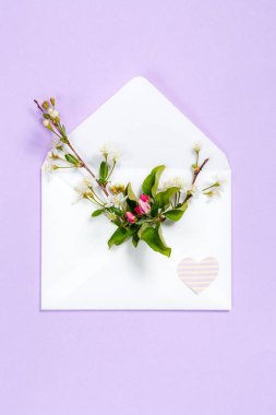 Kağıt kalp Menekşe arka plan üzerinde zarf içinde renkli yaz çiçek.