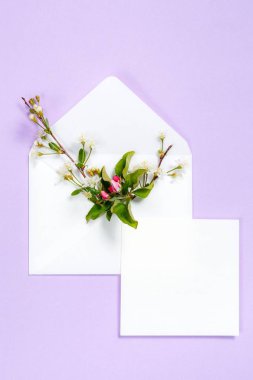 Zarf ve beyaz sayfasında mor arka plan üzerinde renkli yaz çiçek.