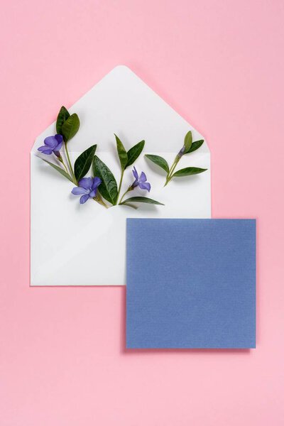 Colorful summer flowers in envelope and blue sheet on pink background.