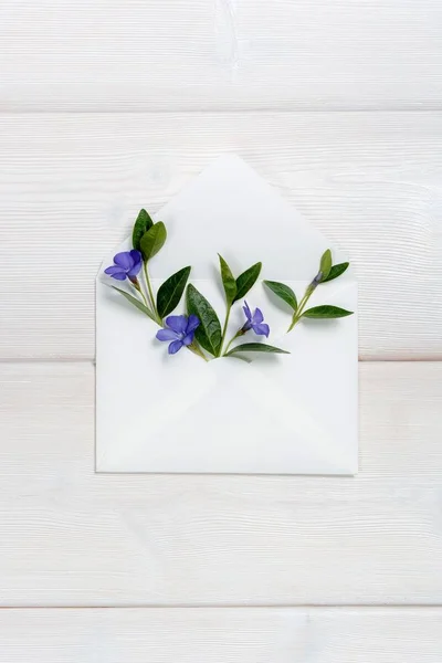 Сині весняні квіти в конверті на дерев'яному фоні . — стокове фото
