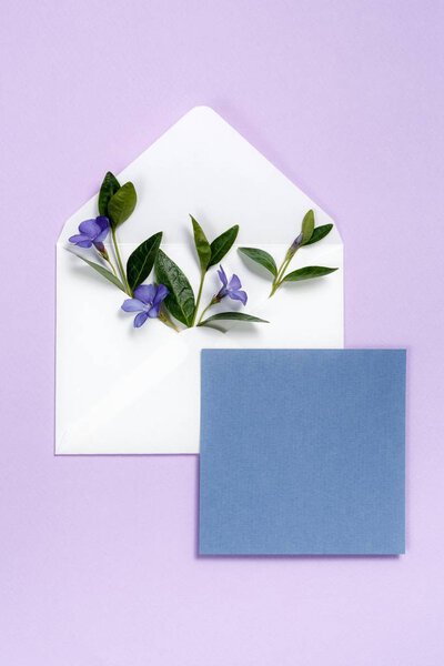 Colorful summer flowers in envelope and blue sheet on violet background.