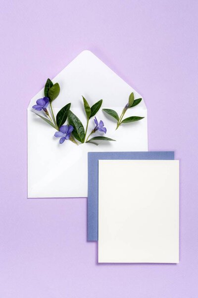 Colorful summer flowers in envelope and colorful sheets on violet background.