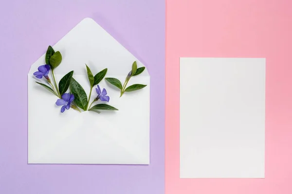 Барвисті літні квіти в конверті та білому аркуші на рожевому та фіолетовому фоні . — стокове фото