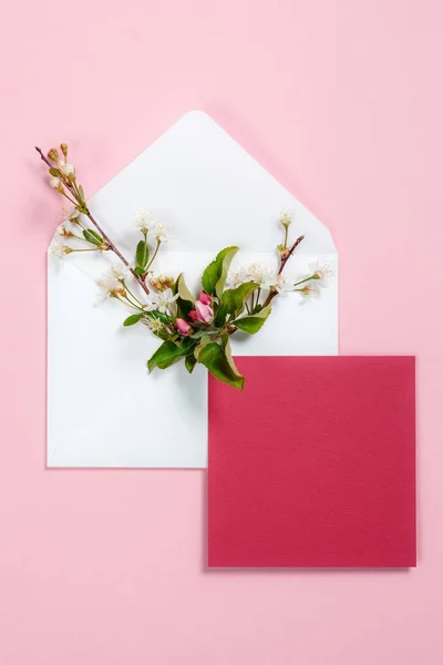 Барвисті літні квіти в конверті і малиновий лист на рожевому фоні . — стокове фото