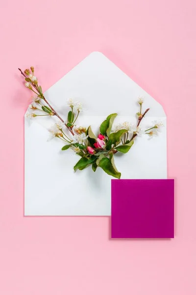 Барвисті літні квіти в конверті і фіолетовий лист на рожевому фоні . — стокове фото