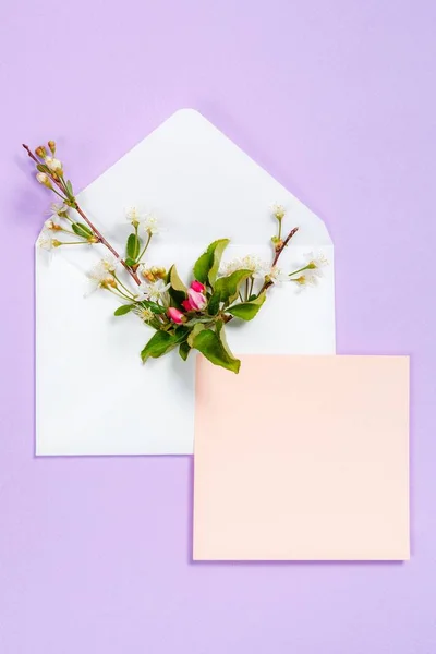 Барвисті літні квіти в конверті і рожевий лист на фіолетовому фоні . — стокове фото