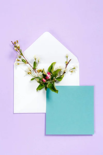 Барвисті літні квіти в конверті і бірюзовий лист на фіолетовому фоні . — стокове фото