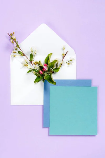 Барвисті літні квіти в конверті і барвисті аркуші на фіолетовому фоні . — стокове фото