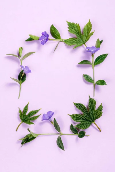 Quadrato cornice di fiori su sfondo rosa . — Foto Stock