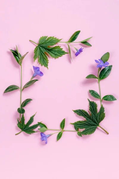 Pembe arka plan karede kare çiçek.