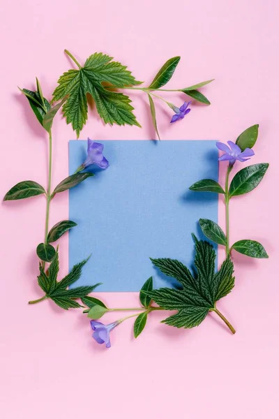 Vierkante bloem frame met blauw vel op roze achtergrond. — Stockfoto