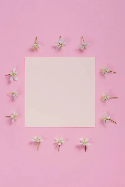 Vierkante bloem frame met wit vel op roze achtergrond. — Stockfoto