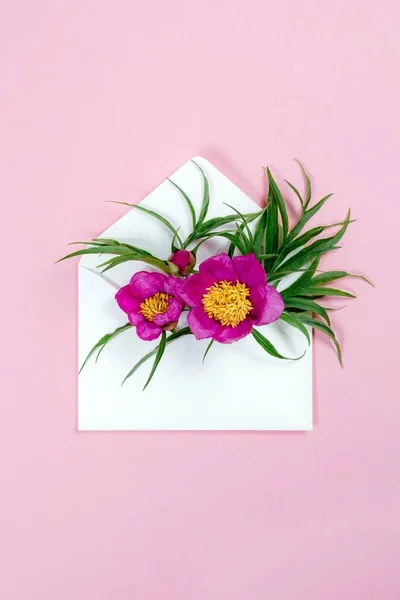 Kleurrijke zomerbloemen in envelop op roze achtergrond. — Stockfoto