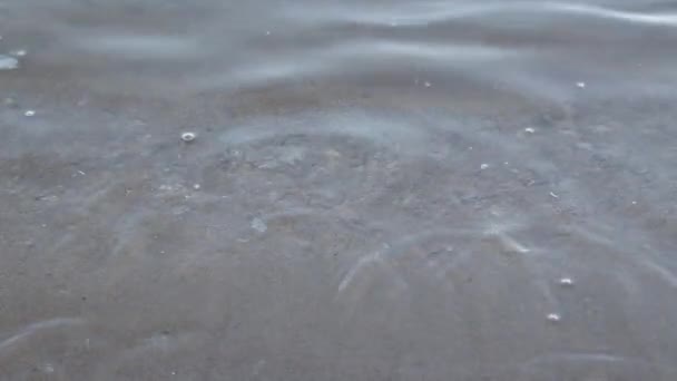 水と氷に覆われた海岸の砂 — ストック動画